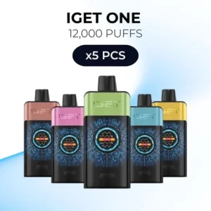 5 PCS – IGET One 12000 Puffs