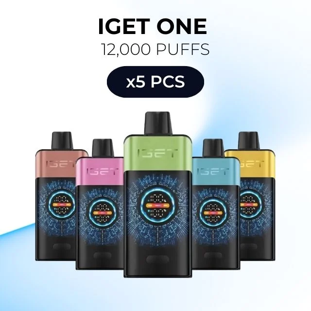 5 PCS – IGET One 12000 Puffs